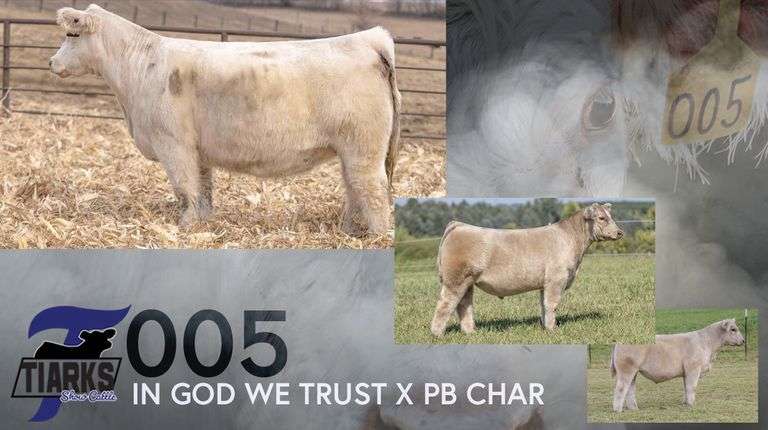 TIARKS TSC005 X HERE I AM  EMBRYOS