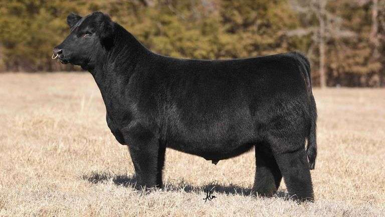 VANHOVE ME TOO SEXED FEMALE SEMEN B