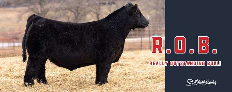 R.O.B. SEMEN SALE 10/8/26