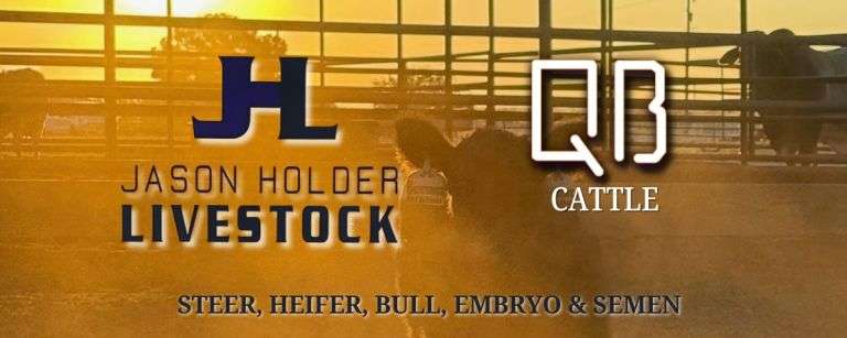 QB CATTLE - JHL LIVESTOCK "ALL THE THINGS" SALE 3/9/26