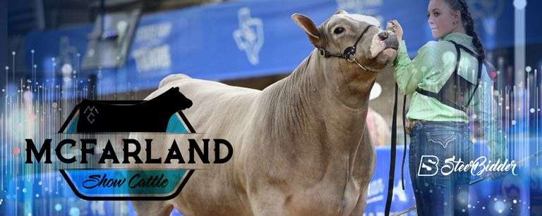 MCFARLAND SHOW CATTLE SPRING BORN SALE 3/5/26