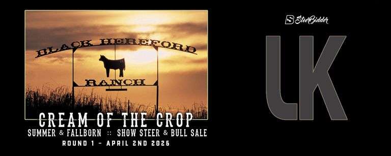 BLACK HEREFORD RANCH'S CREAM OF THE CROP STEER & BULL SALE 4/2/26