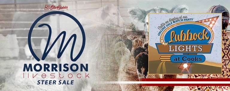 MORRISON LIVESTOCK 4/4/26