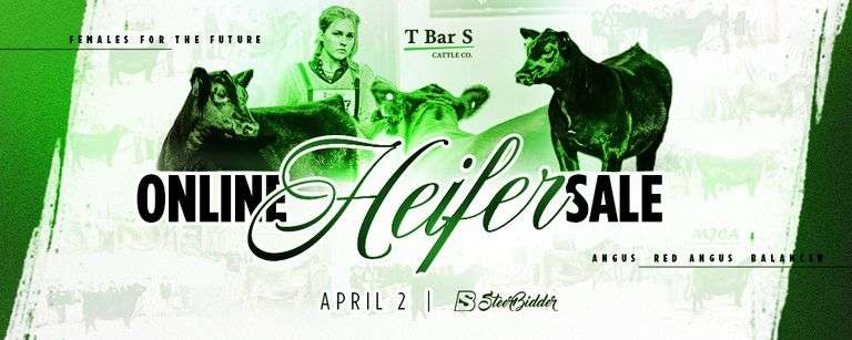 T BAR S CATTLE CO 4/2/26