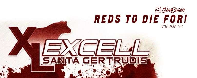  EXCELL SANTA GERTRUDIS 3/17/26