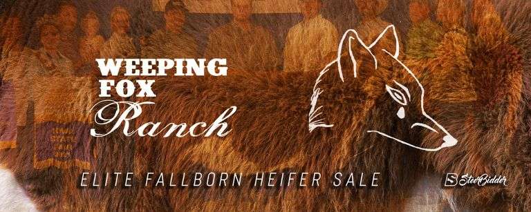 WEEPING FOX RANCH 3/22/26