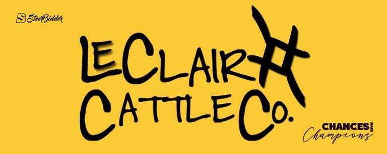 LECLAIR CATTLE CO ELITE STEER SALE 3/8/26