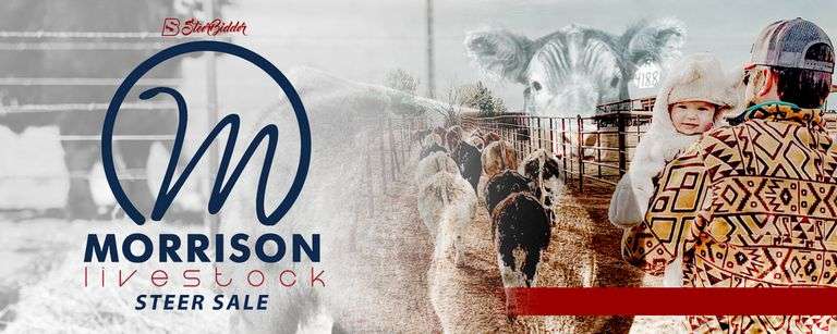 MORRISON LIVESTOCK 3/8/26