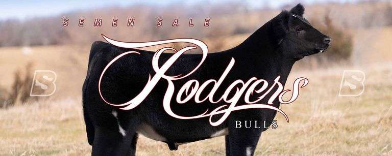 RODGERS CATTLE COMPANY SEMEN SALE 4/24/26
