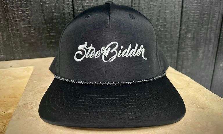 SteerBidder Richardson 355 Hat