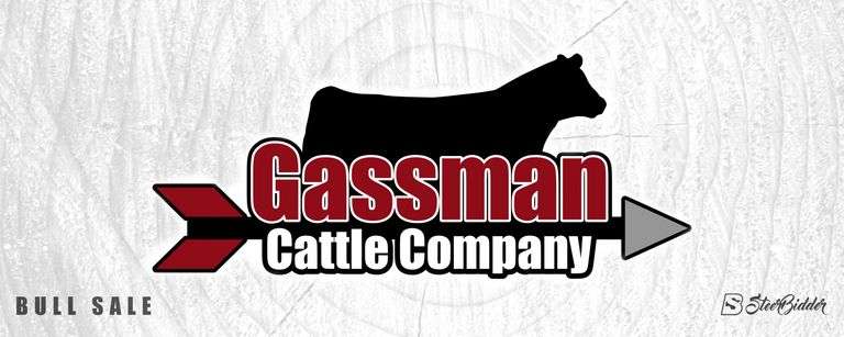 GASSMANS CLUB CALVES 5/11/26