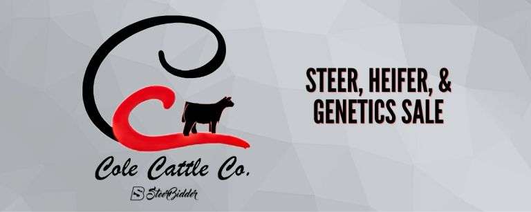 COLE CATTLE CO. - STEER HEIFER & GENETICS SALE 5/3/26