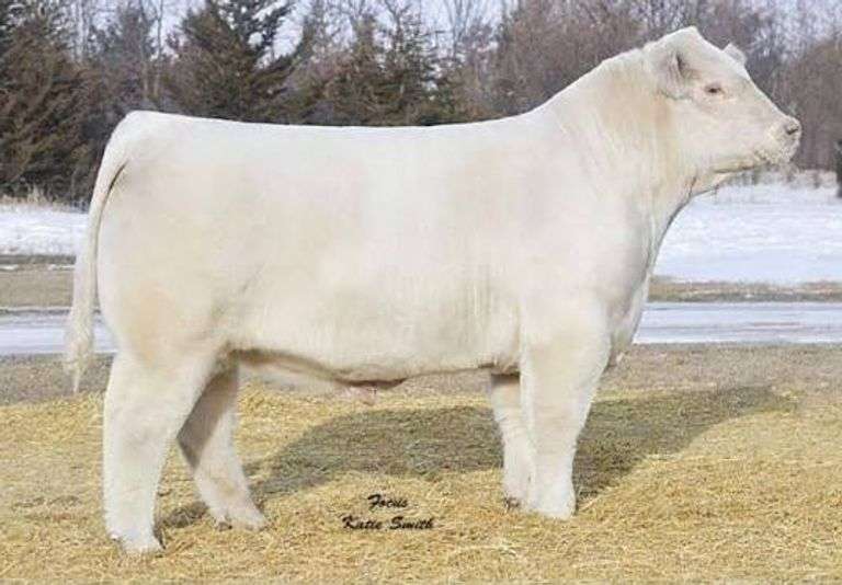 3 UNITS OF DIABLO 2742Z SEMEN