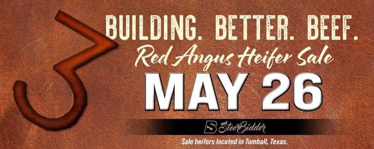 LAZY 3 CATTLE - RED ANGUS HEIFER SALE - 5/26/26