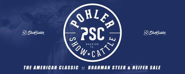 POHLER SHOW CATTLE - "THE AMERICAN CLASSIC"  6/2/26