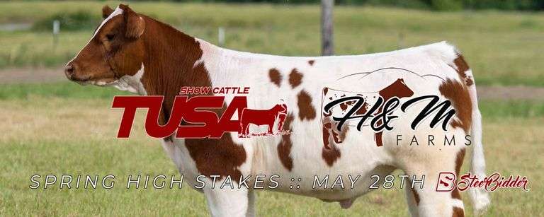SPRING ROUNDUP :: TUSA :: H&M FARMS 5/28/26