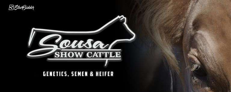 SOUSA SHOW CATTLE - 5/5/26