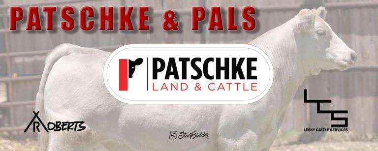 PATSCHKE & PALS 6/7/26