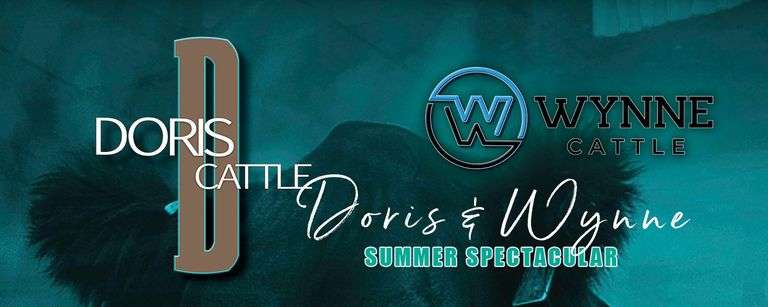 DORIS CATTLE :: WYNNE 6/4/26