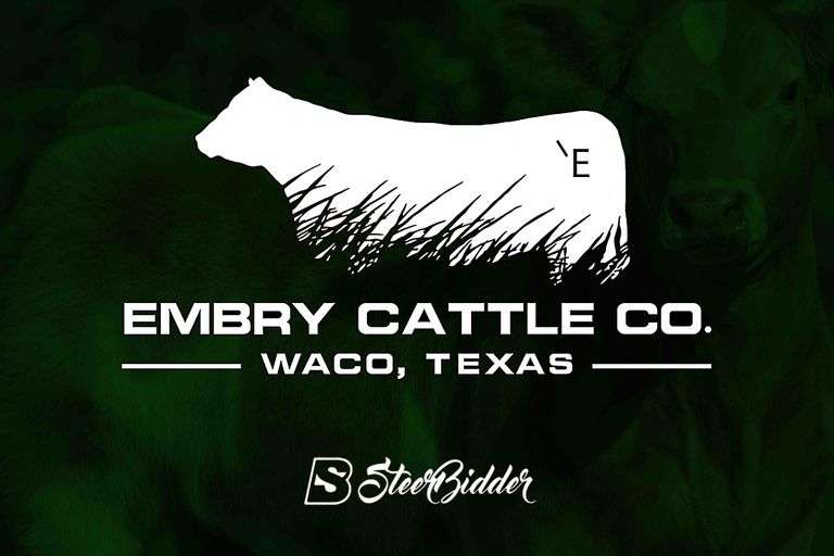 EMBRY CATTLE CO FEMALE SALE 7/7/26