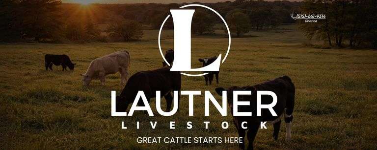 LAUTNER LIVESTOCK 6/11/26