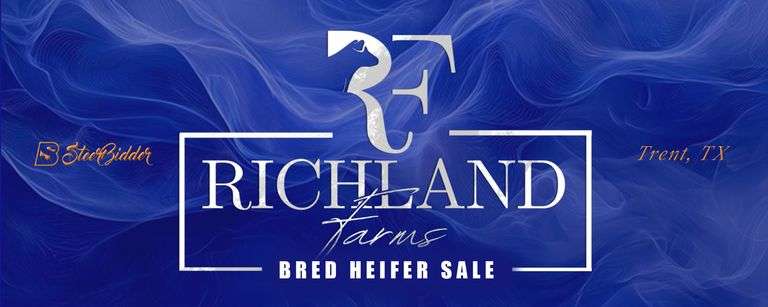 RF BRED HEIFER SALE 8/8/26