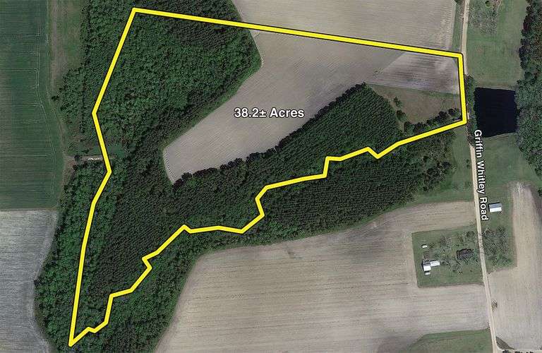 38 acres Berrien County, GA South Auction