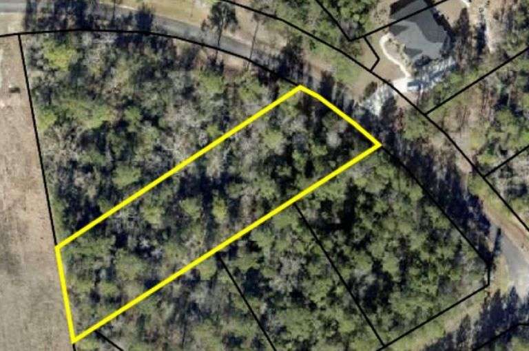 Lot 91 Stilla River Landing Camden, GA South Auction