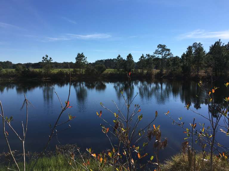 South GA Land Auction South Auction