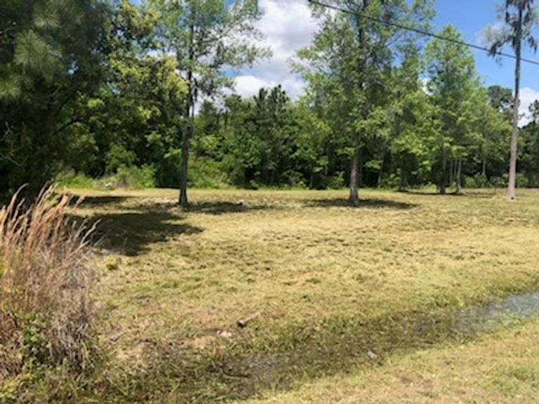 Darien Lot, Darien, GA South Auction