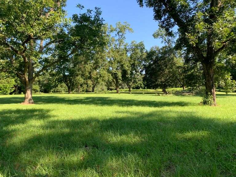 .72 acres W. Clements Ave., Lenox, GA