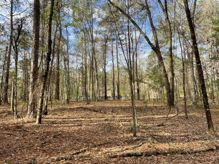 Multi County Auction in South Auction