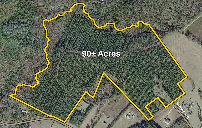 Bulloch Interstate Gateway Tract: 90 acres - South Auction