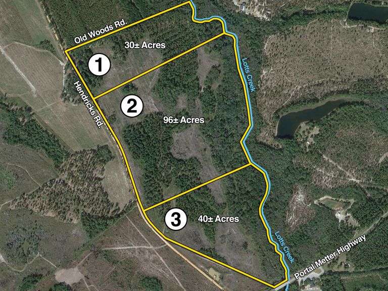 166 acres Candler County, GA - BIDDING ENDS: June 7