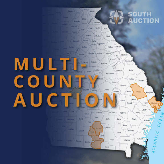 Multi County Auction in GA