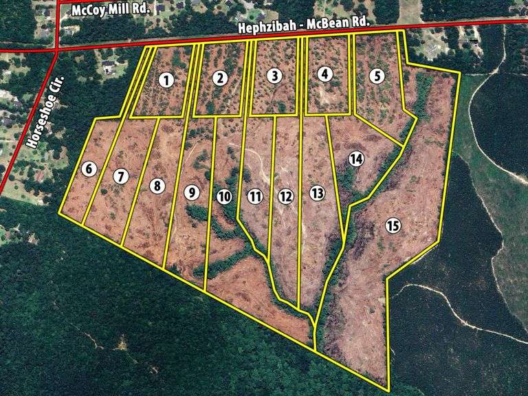 South Richmond Tract: 159 acres offered divided, Hephzibah, GA