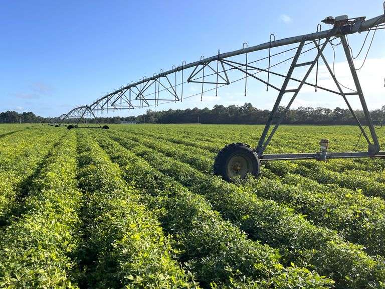 Clito Farm: 199 acres in 5 tracts, Bulloch Co. GA