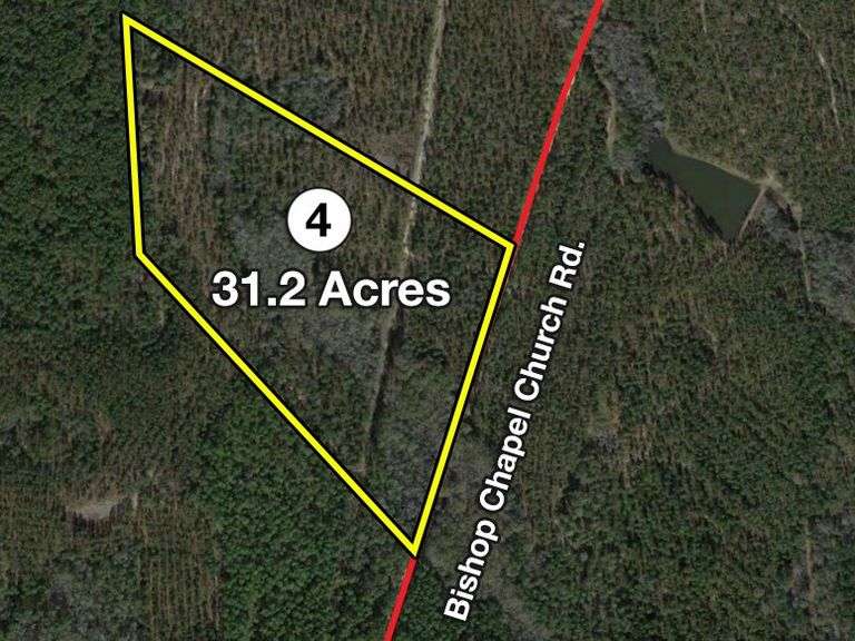 31.2 acres