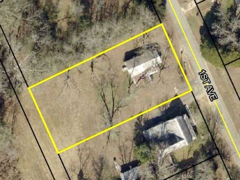 1st Avenue, Twin City, GA 