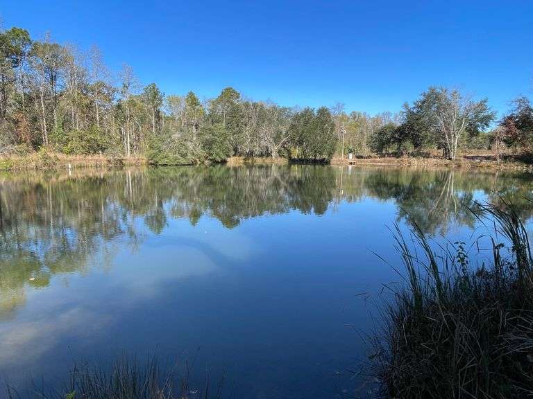 11.6 Acres with Pond and Well