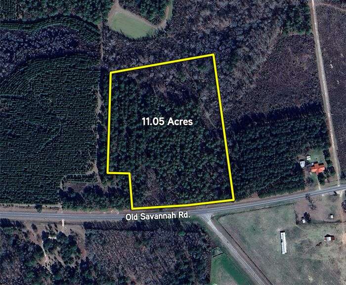 11.05 Acres: Old Savannah Road, Midville, GA