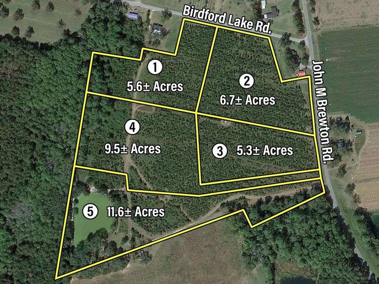 Birdford Lake Road Tract: 38 acres, Glennville, GA