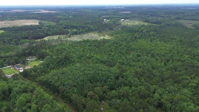 Lot on Burkhalter Road, Statesboro, GA