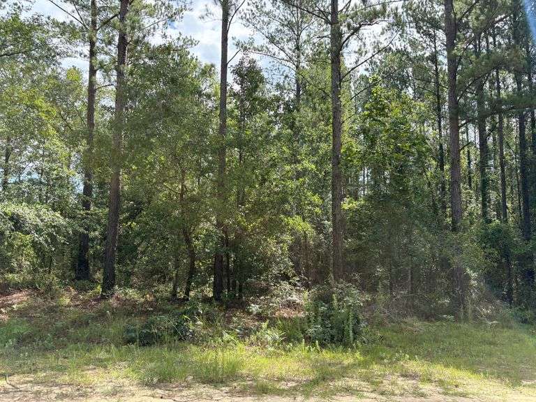 755 Southside Drive Lyons, GA 