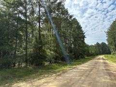 5 acre lot: 755 Southside Drive, Lyons, GA
