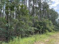 5 acre lot: 755 Southside Drive, Lyons, GA