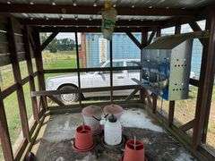 8 x 16 Chicken Coop with Contents