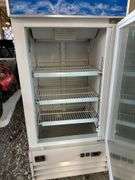 Kelvinator Commercial Upright Display Freezer
