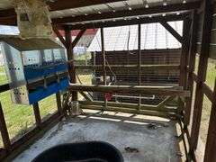 8 x 16 Chicken Coop with Contents
