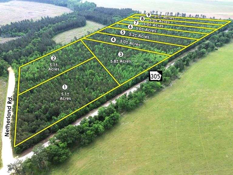HWY 305 Tract, 46 acres offered divided: Burke County, GA